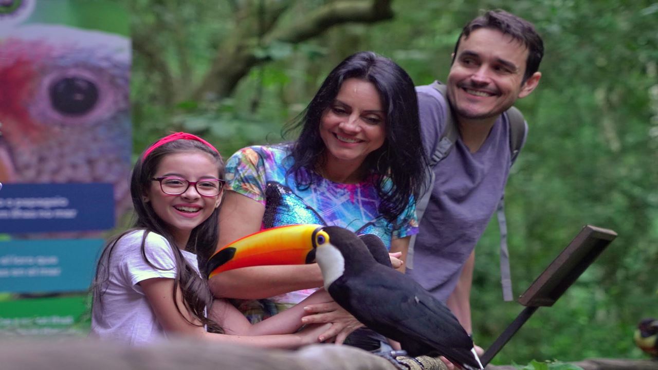 Cataratas Brasileiras Com Parque Das Aves foto 5