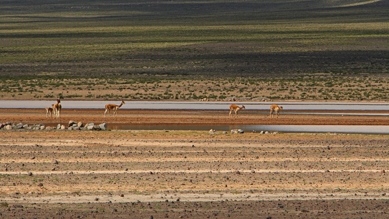 Cachoeiras Pillones E Floresta De Pedra Imata foto 5