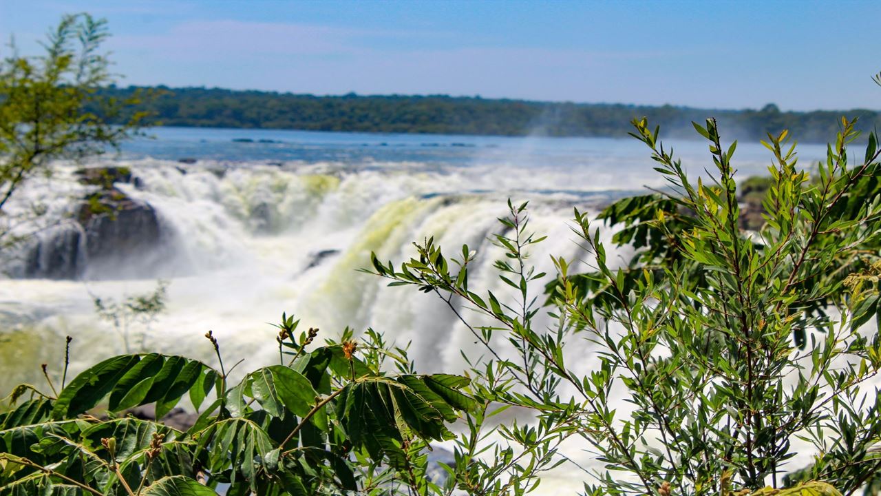 Iguazu Falls - Argentine Side (5)