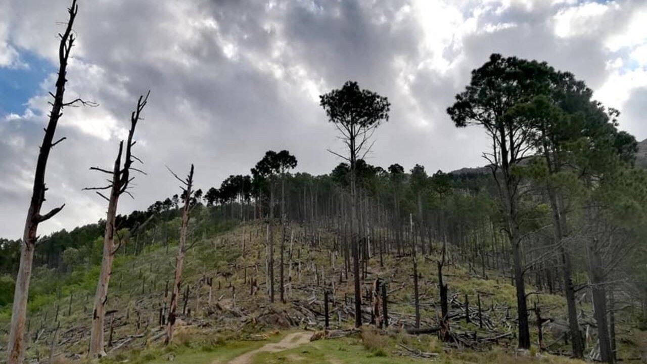 Colline De Champaqui foto 5