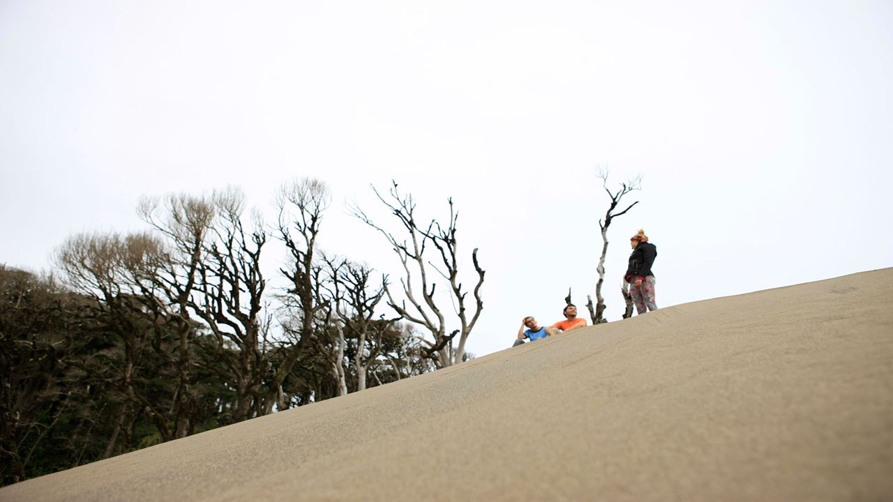 Tesouros Chaihuin E Curral Da Rota Costeira Valdiviana foto 5