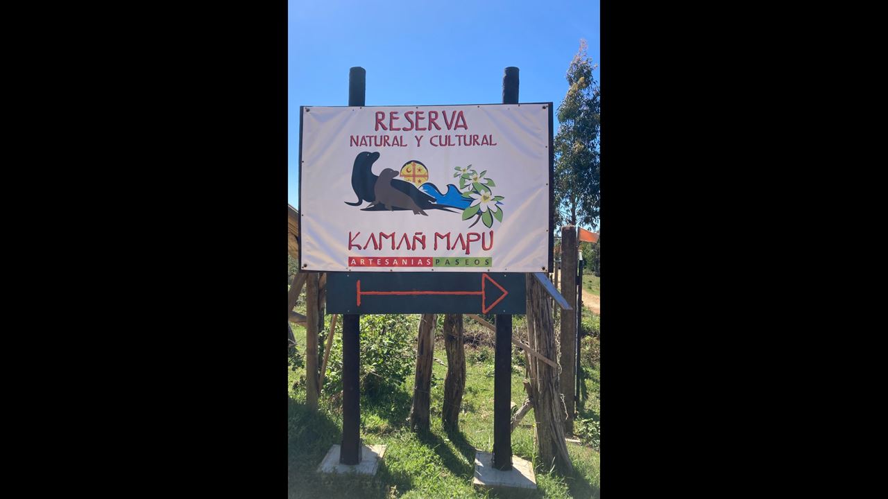 Tesouros Chaihuin E Curral Da Rota Costeira Valdiviana foto 7