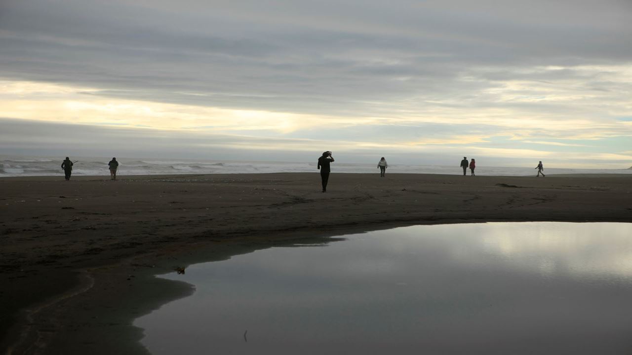 Tesouros Chaihuin E Curral Da Rota Costeira Valdiviana foto 6