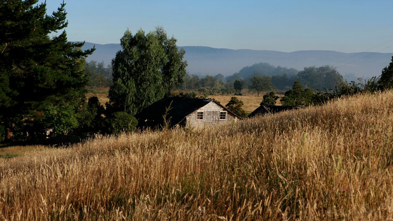 Chiloe Magico: In Darwin`s Footsteps In The Chiloe National Park foto 14