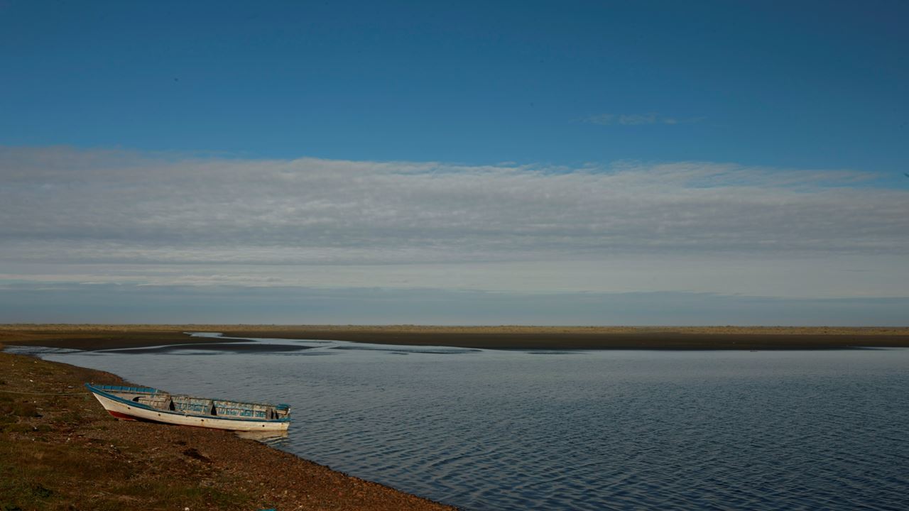Chiloe Magico: In Darwin`s Footsteps In The Chiloe National Park foto 11