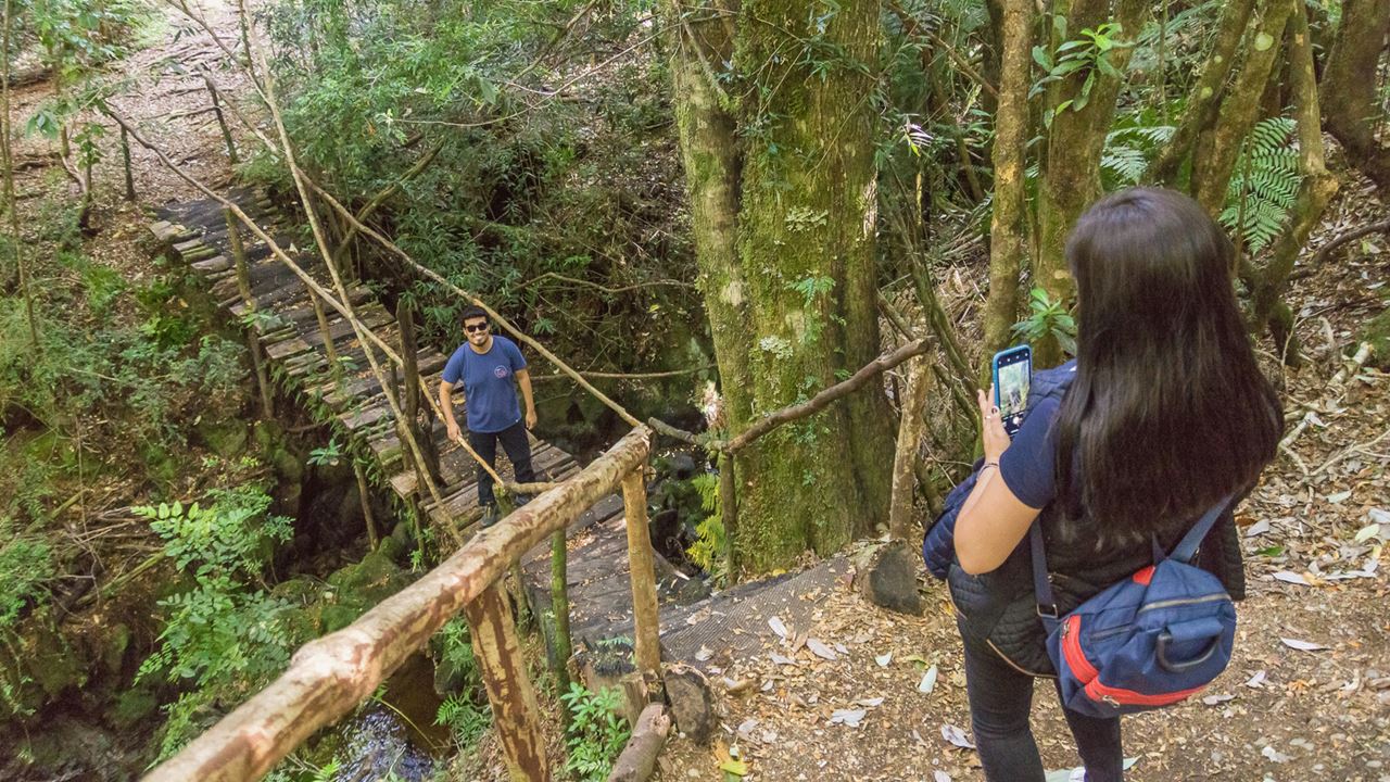 Chiloe Magico: In Darwin`s Footsteps In The Chiloe National Park foto 4