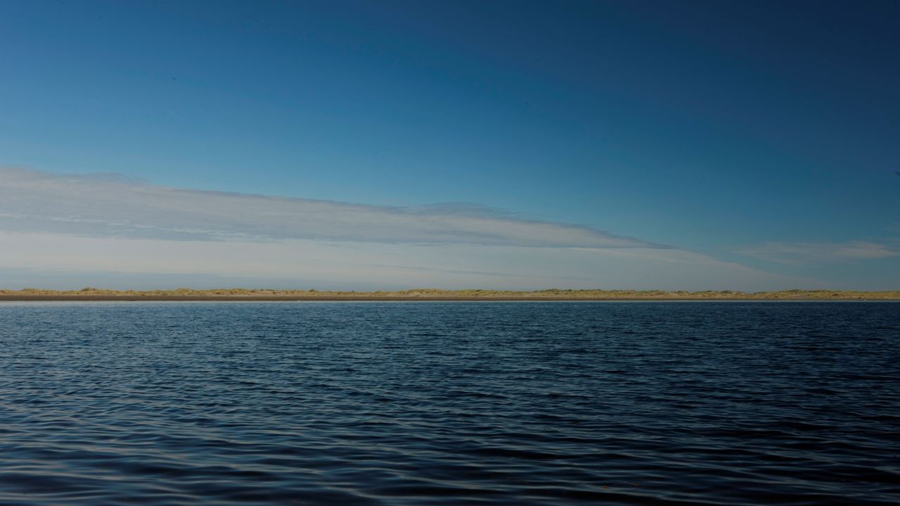 Chiloe Magico: In Darwin`s Footsteps In The Chiloe National Park foto 12