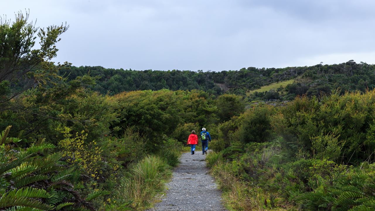 Chiloe Magico: In Darwin`s Footsteps In The Chiloe National Park foto 10