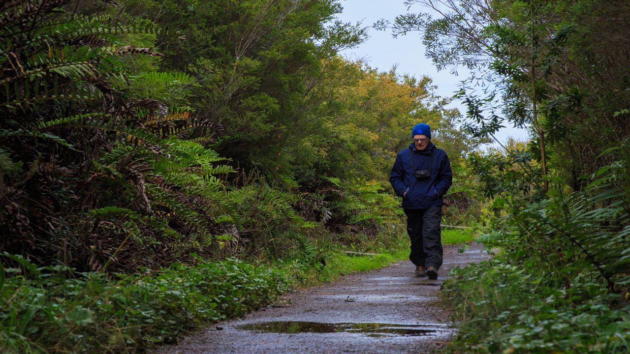 Chiloe Magico: In Darwin`s Footsteps In The Chiloe National Park foto 13