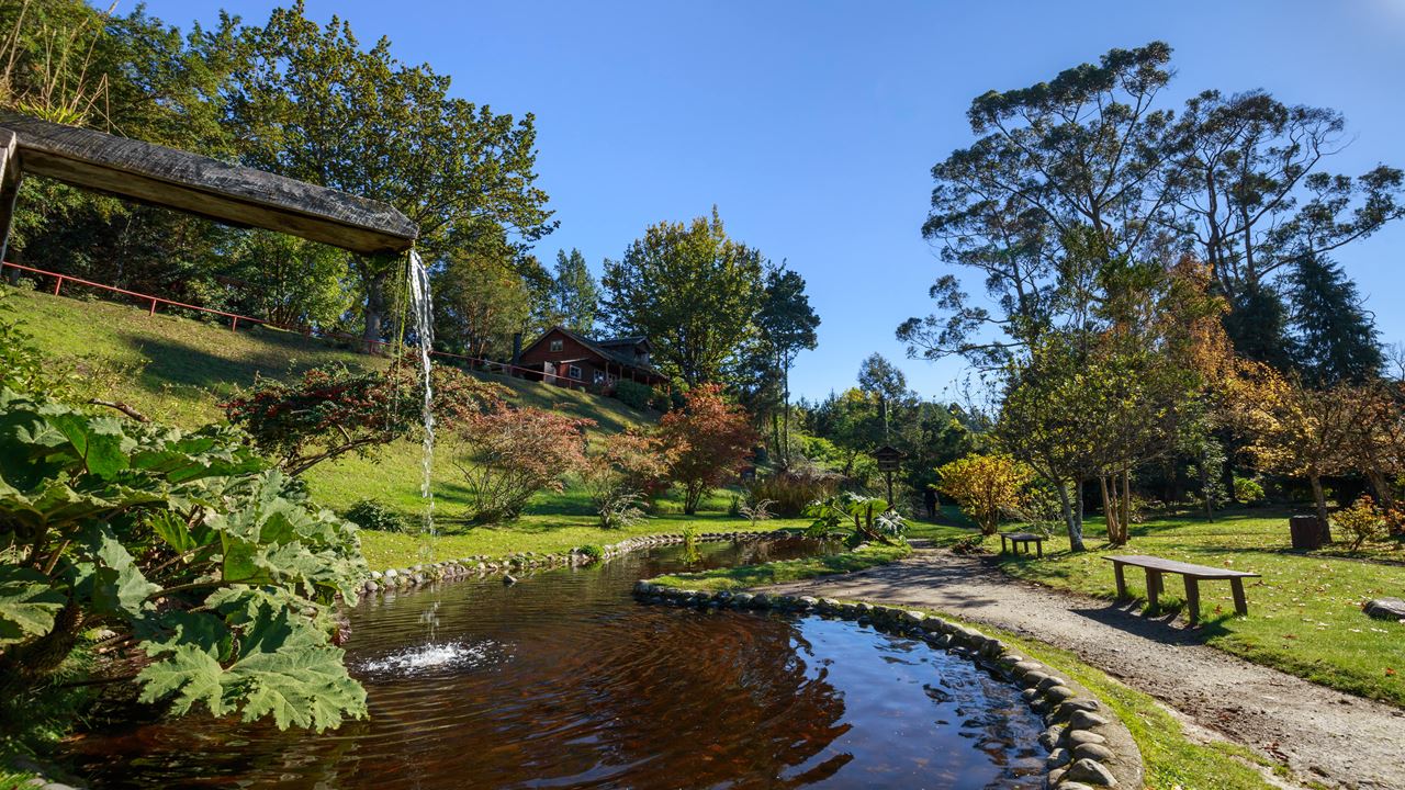 Enchanted Circuit Around Lake Llanquihue foto 5