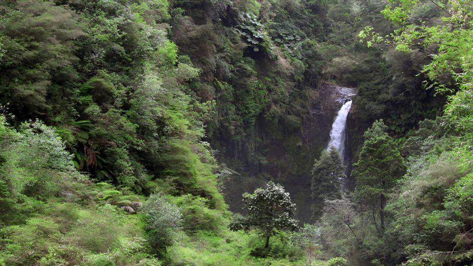Circuito Encantado Ao Redor Do Lago Llanquihue foto 3