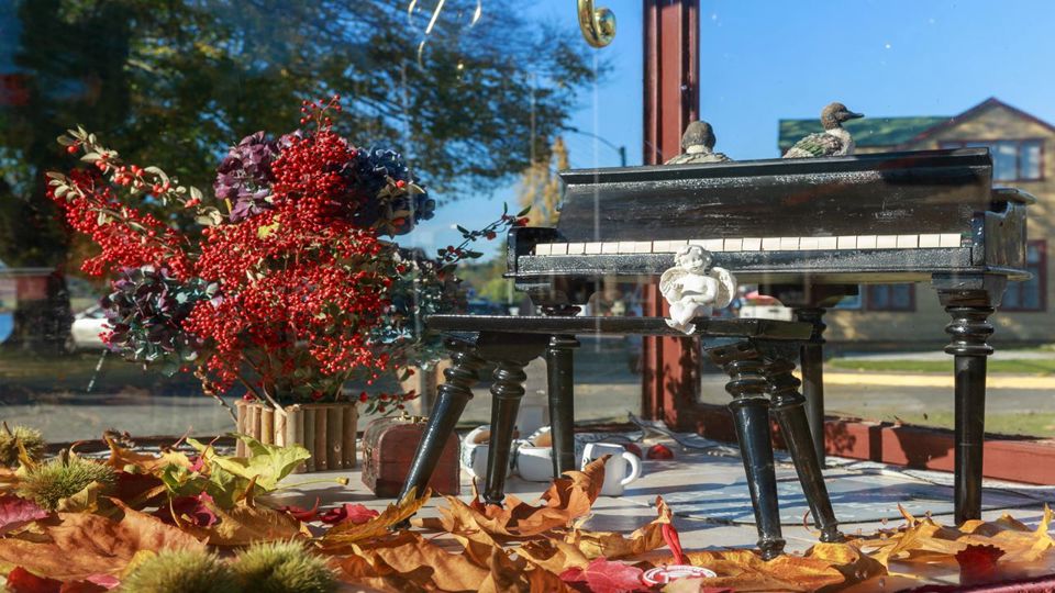 Circuito Encantado Ao Redor Do Lago Llanquihue E Do Vulcão Osorno foto 7