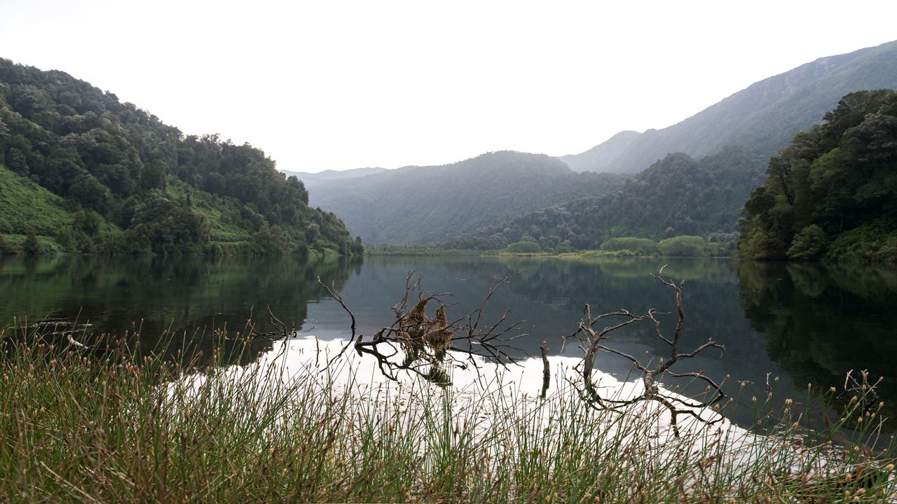 Lago Ranco Circuit Full-day Adventure From Valdivia foto 3