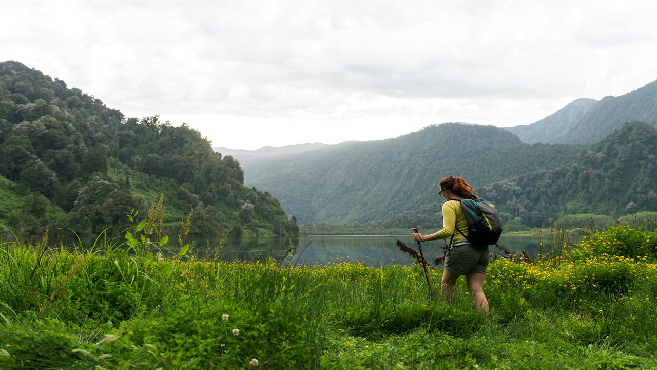 Lago Ranco Circuit Full-day Adventure From Valdivia foto 6