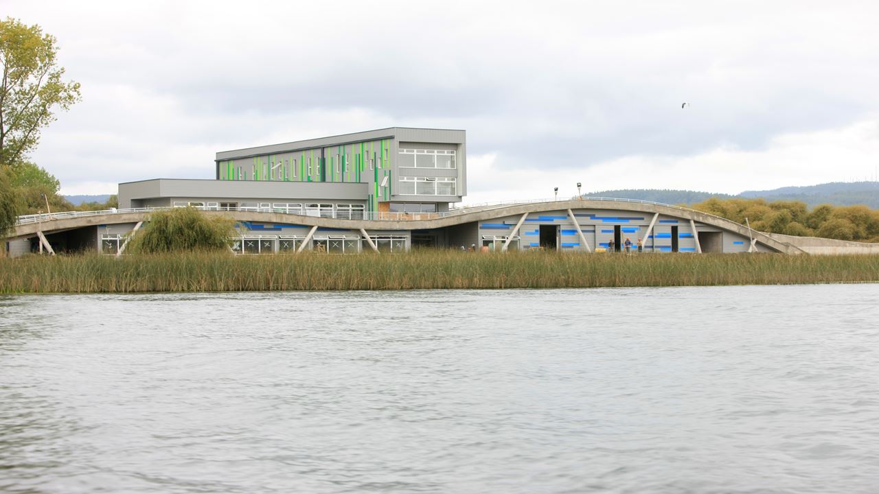 Circuito Navegacion A Isla Tejas En Valdivia
 foto 8