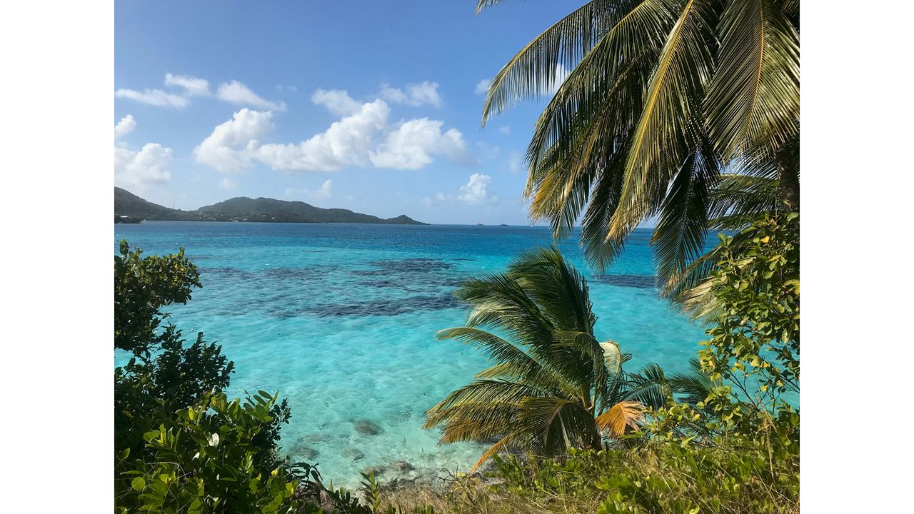 Passeio Pela Cidade foto 6