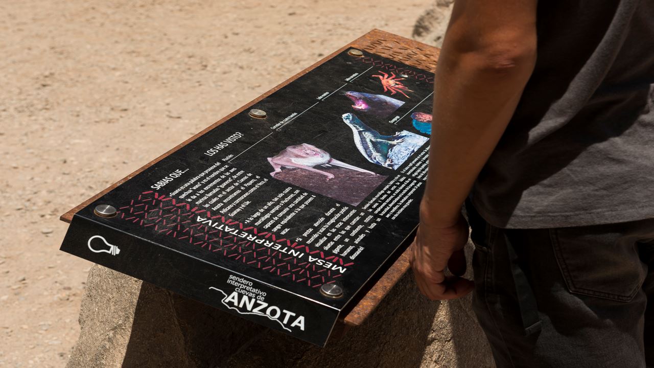 Panoramic Arica City Tour foto 8