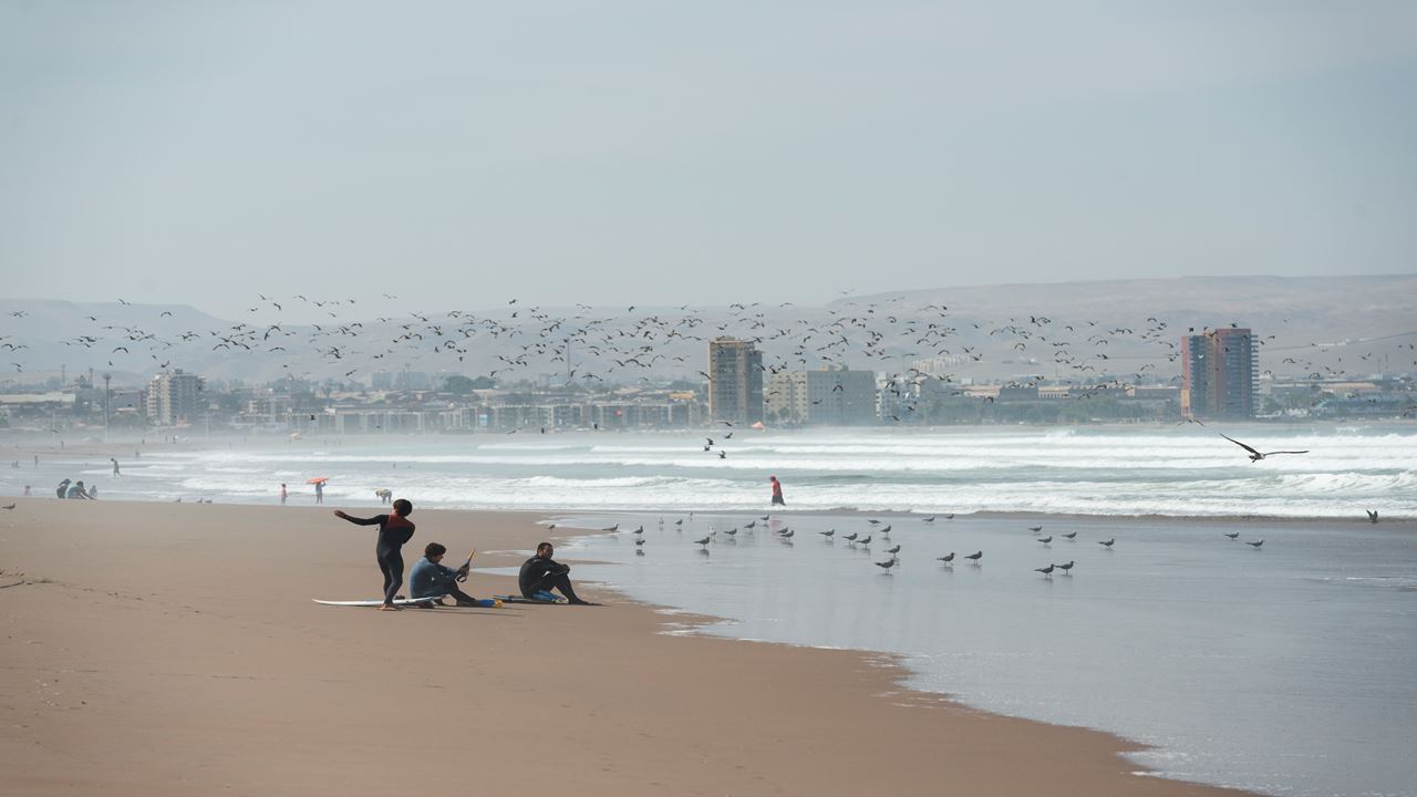 Panoramic Arica City Tour foto 5