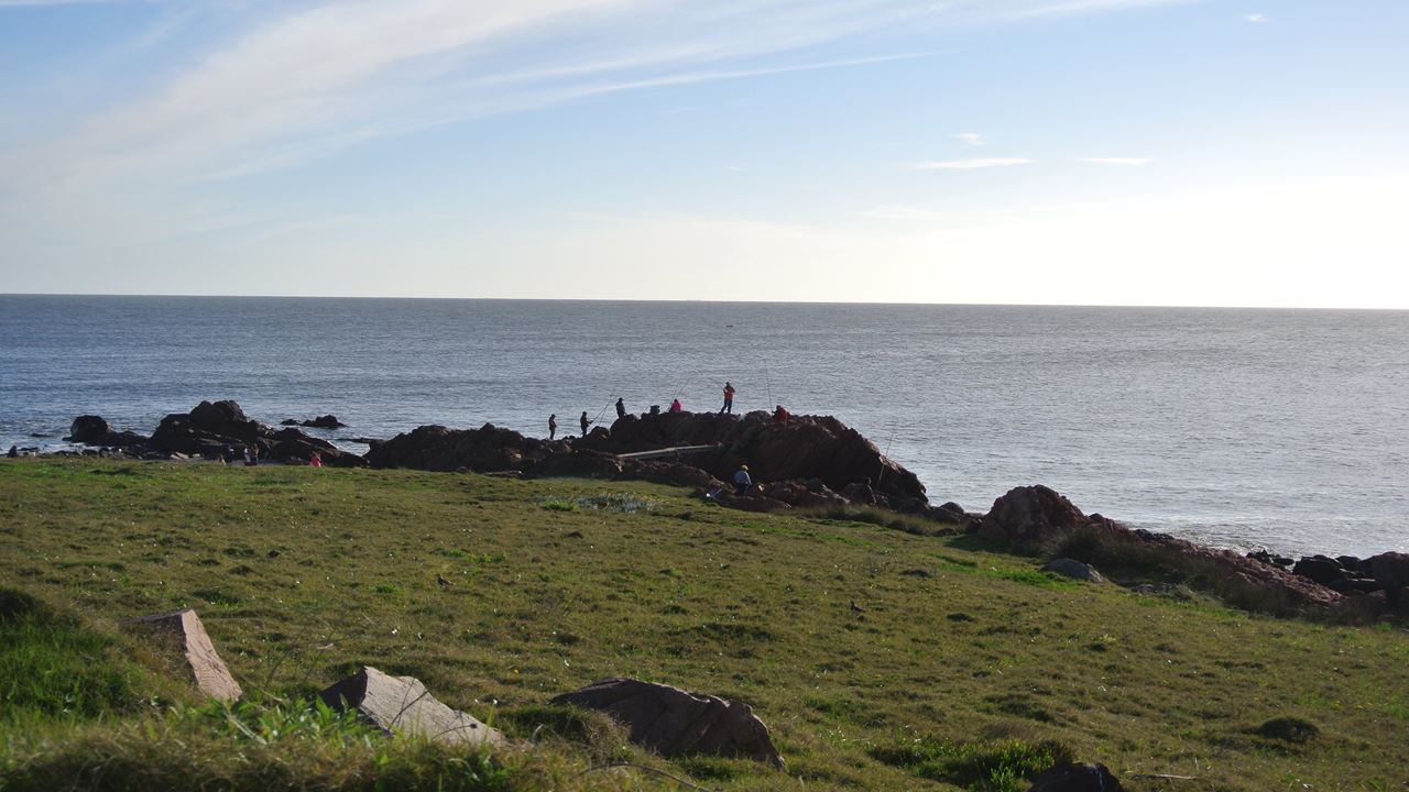 Cabo Polonio City Tour + Beach foto 3