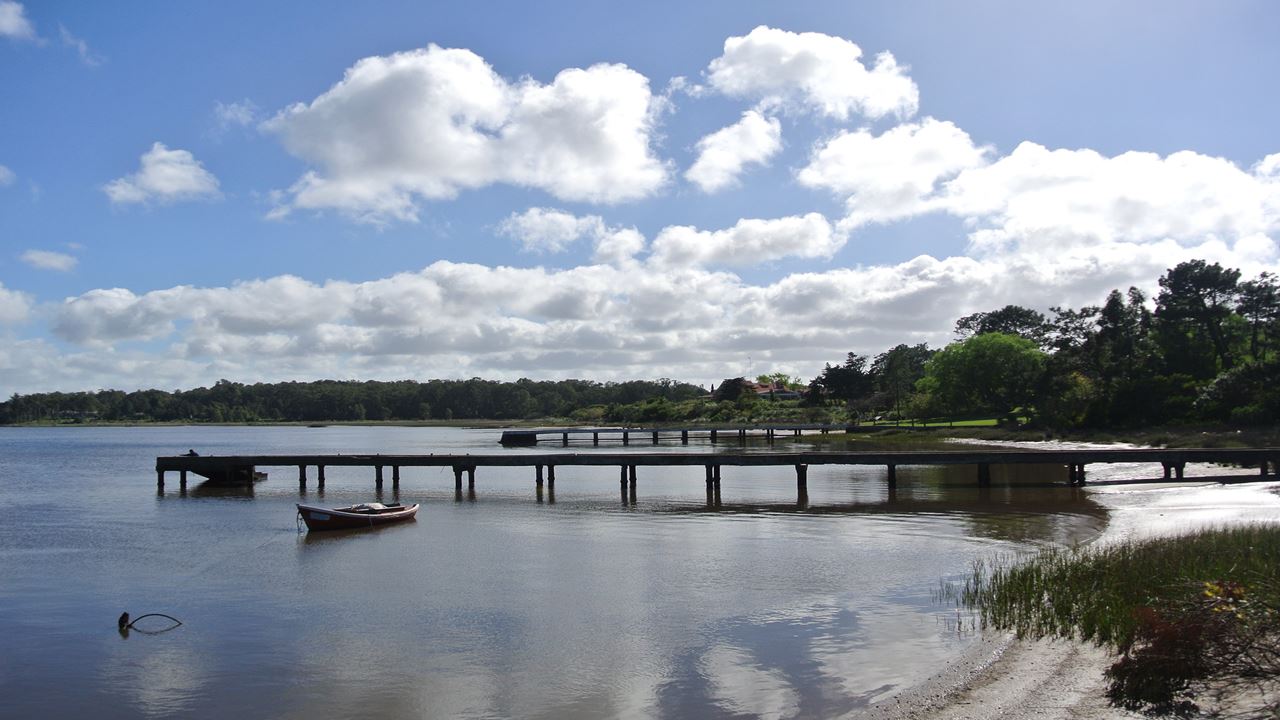 Cabo Polonio City Tour + Beach foto 9