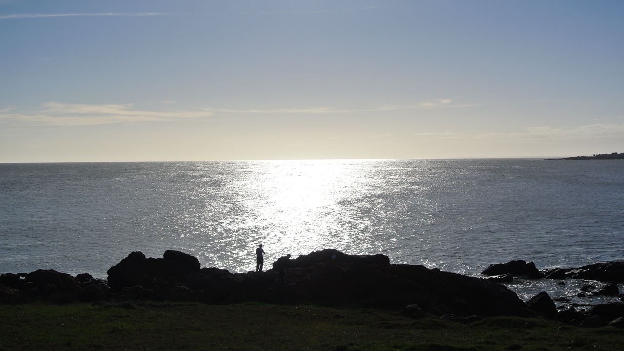 Cabo Polonio City Tour + Beach foto 8