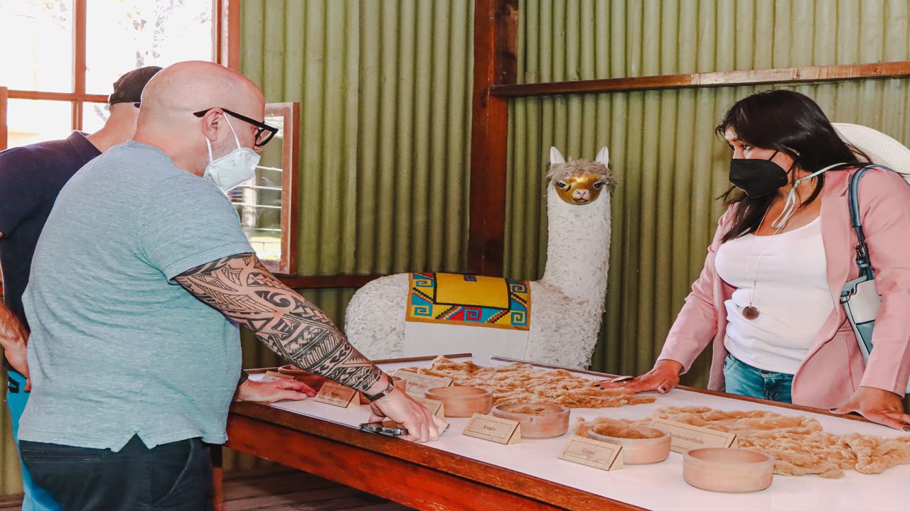 City Tour With Panoramic Bus foto 11