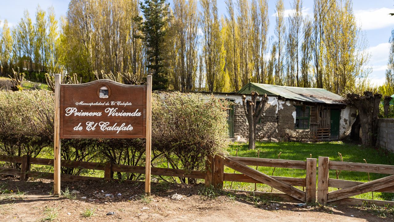 Private City Tour (1)