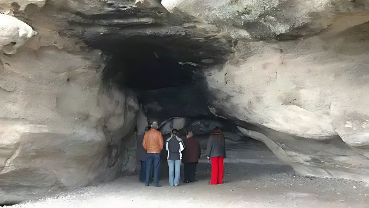 Private City Tour (6)