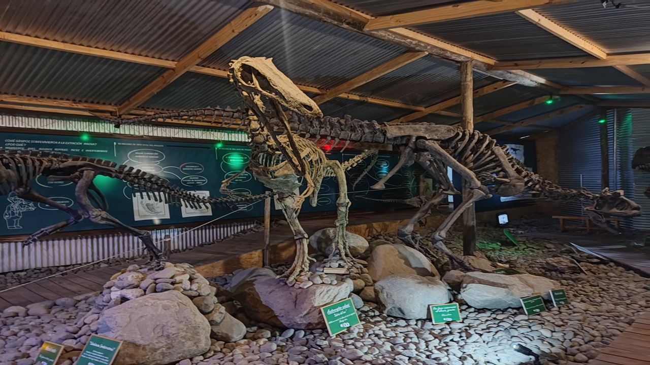 Private City Tour (7)