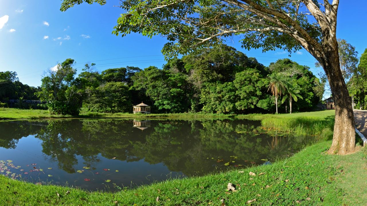 City Tour João Pessoa foto 7