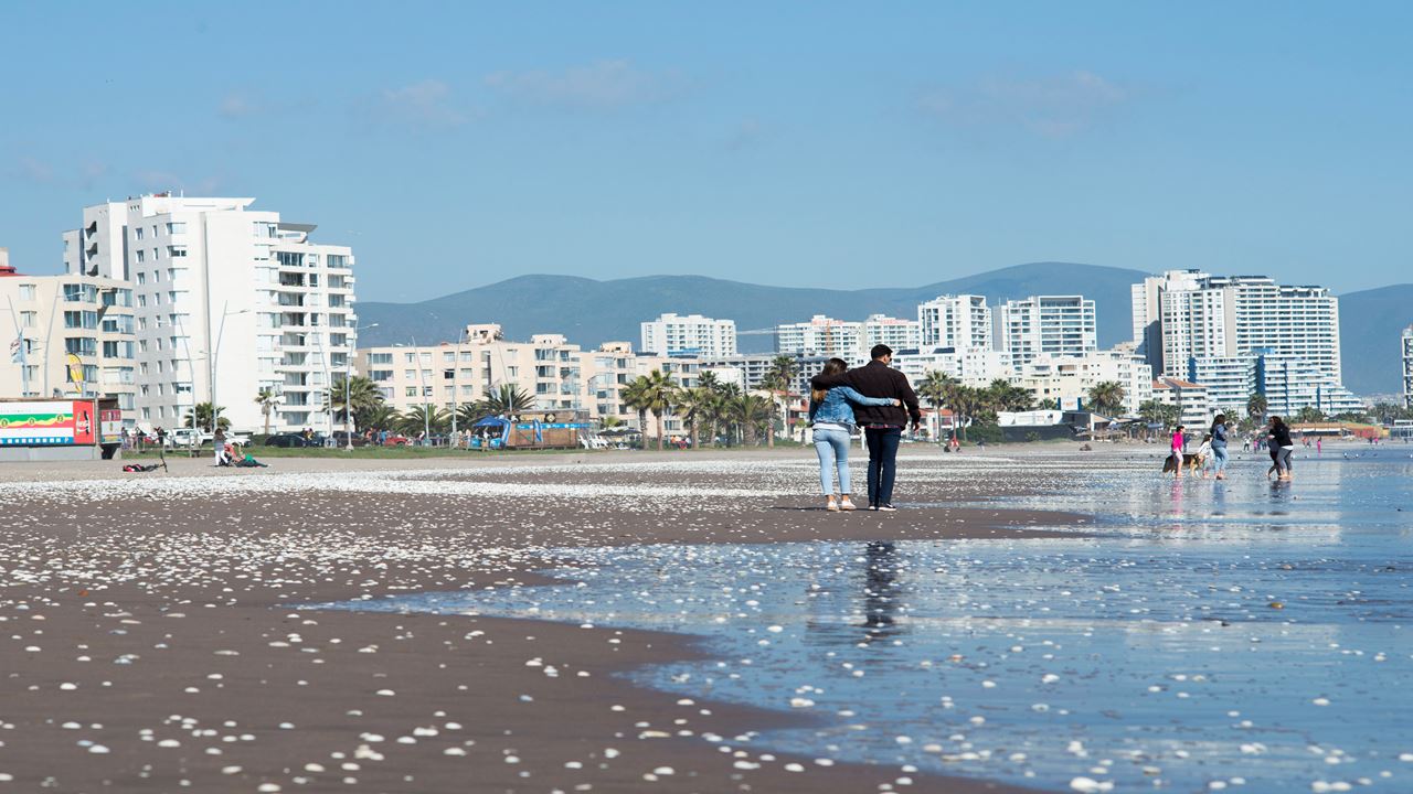 City Tour De La Serena E Coquimbo foto 2