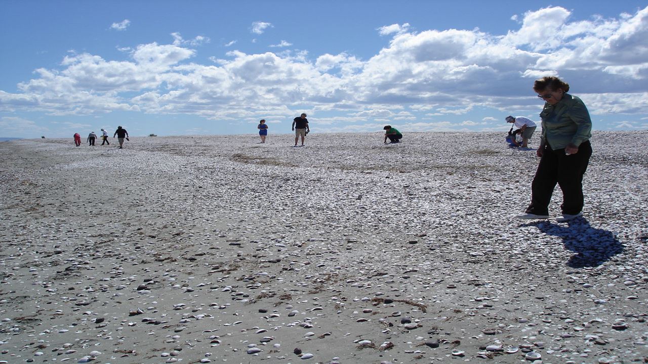 City Tour Las Grutas & Puerto De San Antonio foto 4