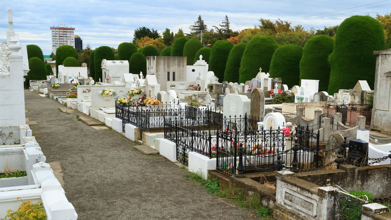 Passeio Panorâmico Pela Cidade De Punta Arenas foto 11