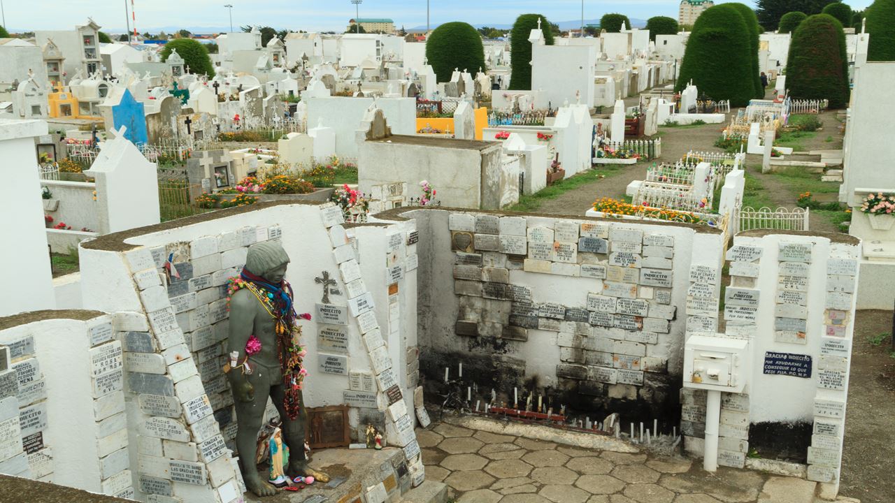 Passeio Panorâmico Pela Cidade De Punta Arenas foto 8