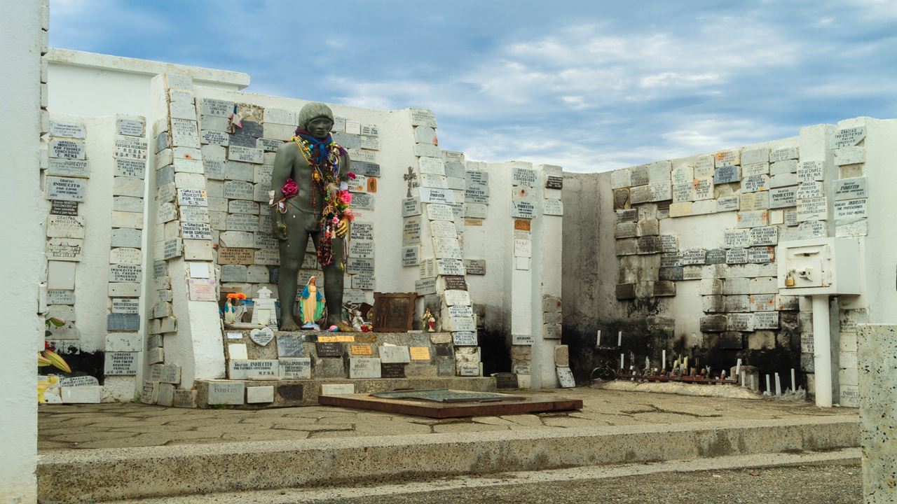 Passeio Panorâmico Pela Cidade De Punta Arenas foto 9