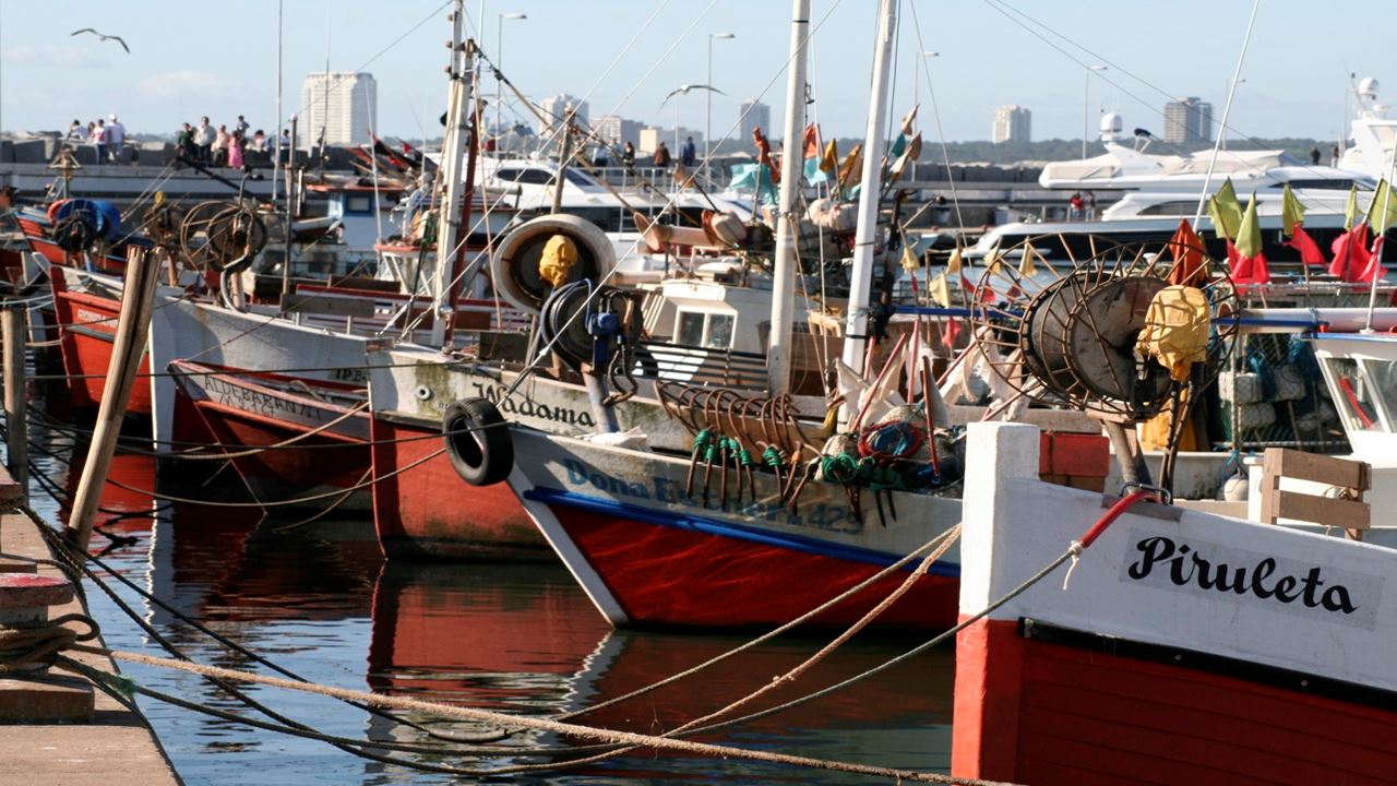 Passeio Pela Cidade De Piriápolis foto 6