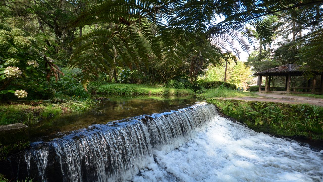 City Tour Por Campos Do Jordão, Suíça Brasileira foto 11