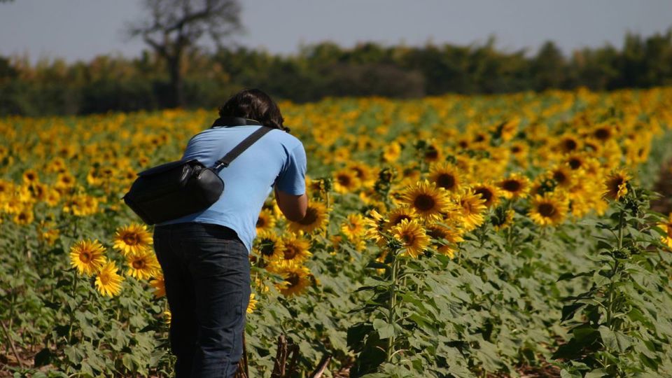 City Tour Por Holambra, A Cidade Das Flores foto 4