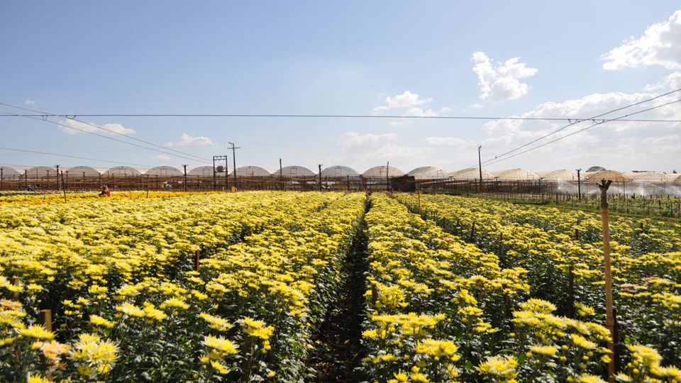 City Tour Por Holambra, A Cidade Das Flores foto 3