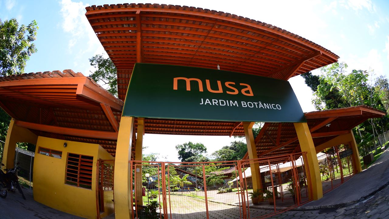 Combo Dos Museus Naturais Da Amazônia (Inpa E Musa)
 (5)