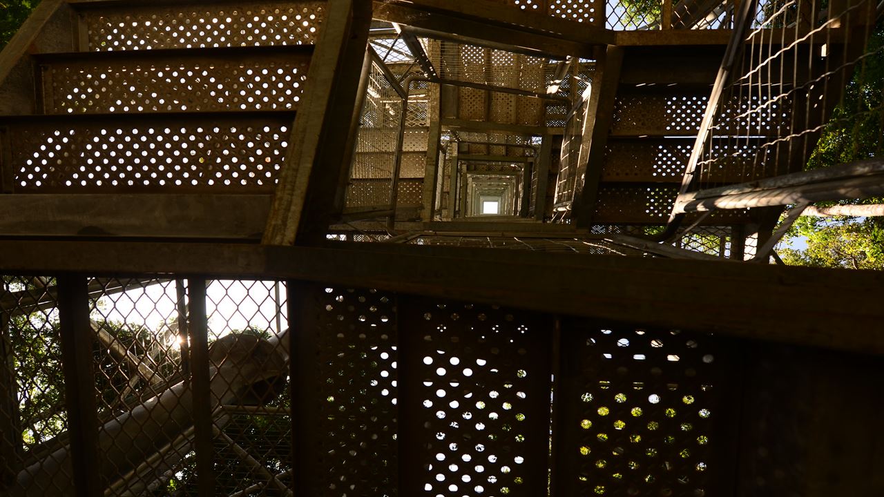 Combo Dos Museus Naturais Da Amazônia (Inpa E Musa)
 (6)
