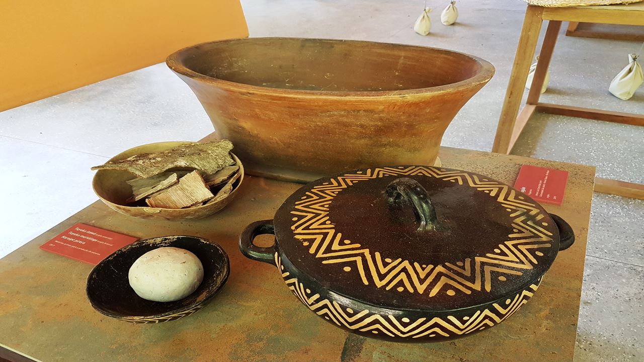 Combo Dos Museus Naturais Da Amazônia (Inpa E Musa)
 (1)