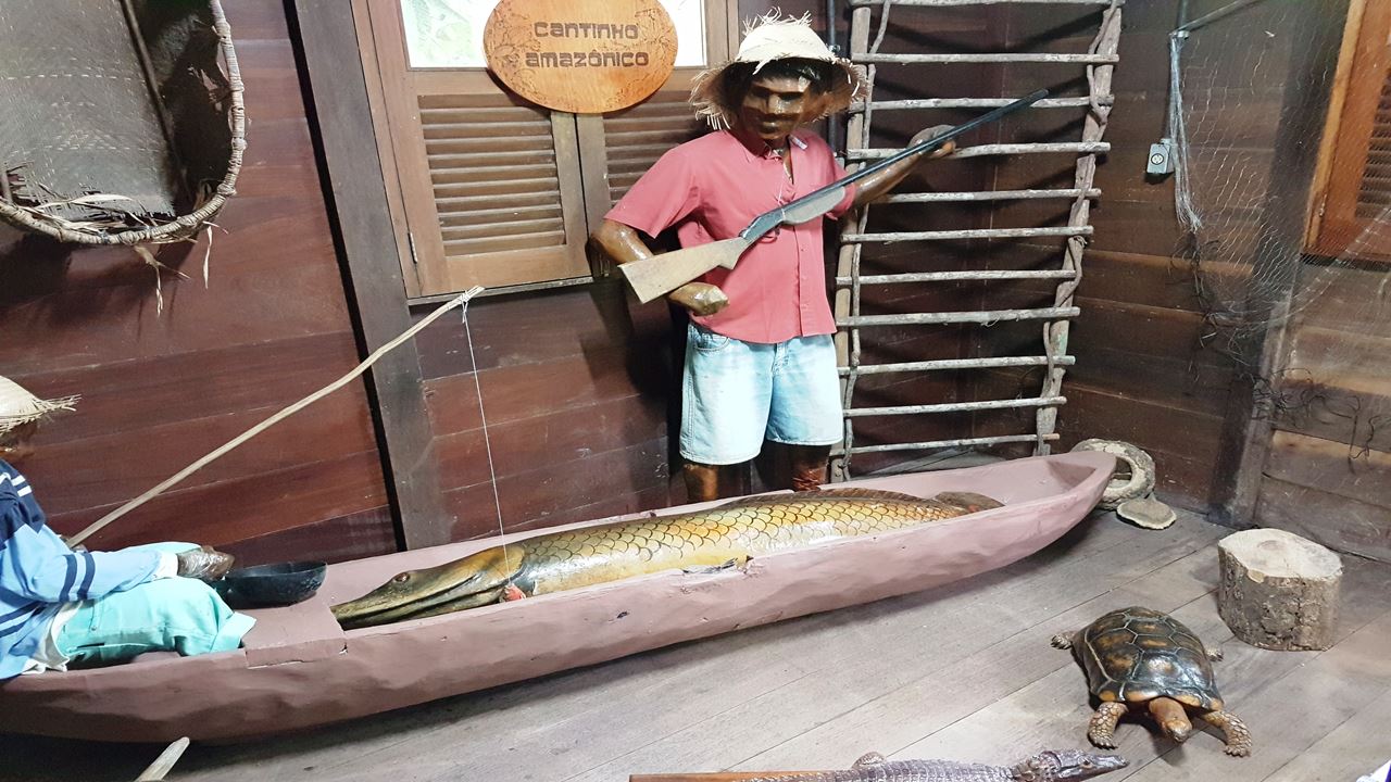 Combo Dos Museus Naturais Da Amazônia (Inpa E Musa)
 (2)