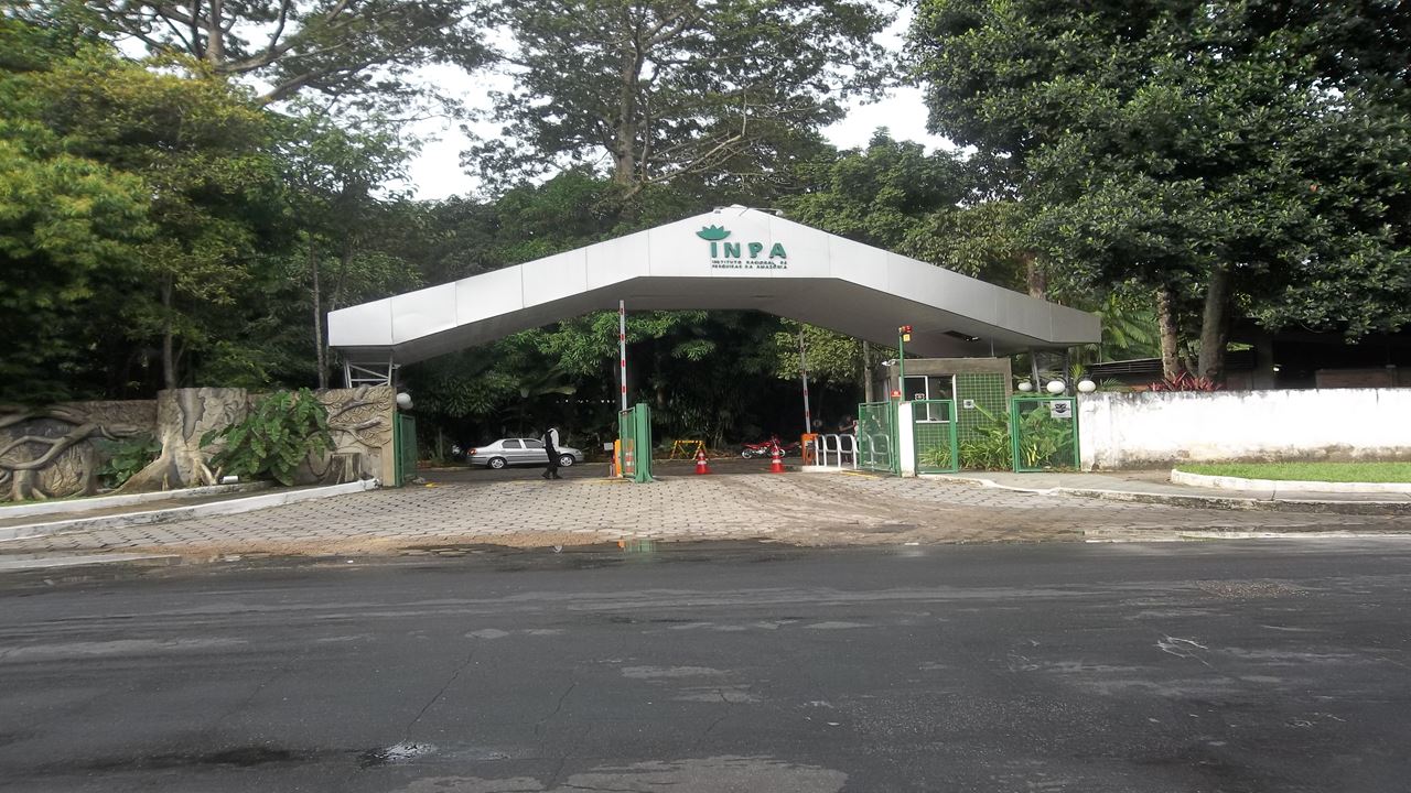 Combo Dos Museus Naturais Da Amazônia (Inpa E Musa)
 (3)