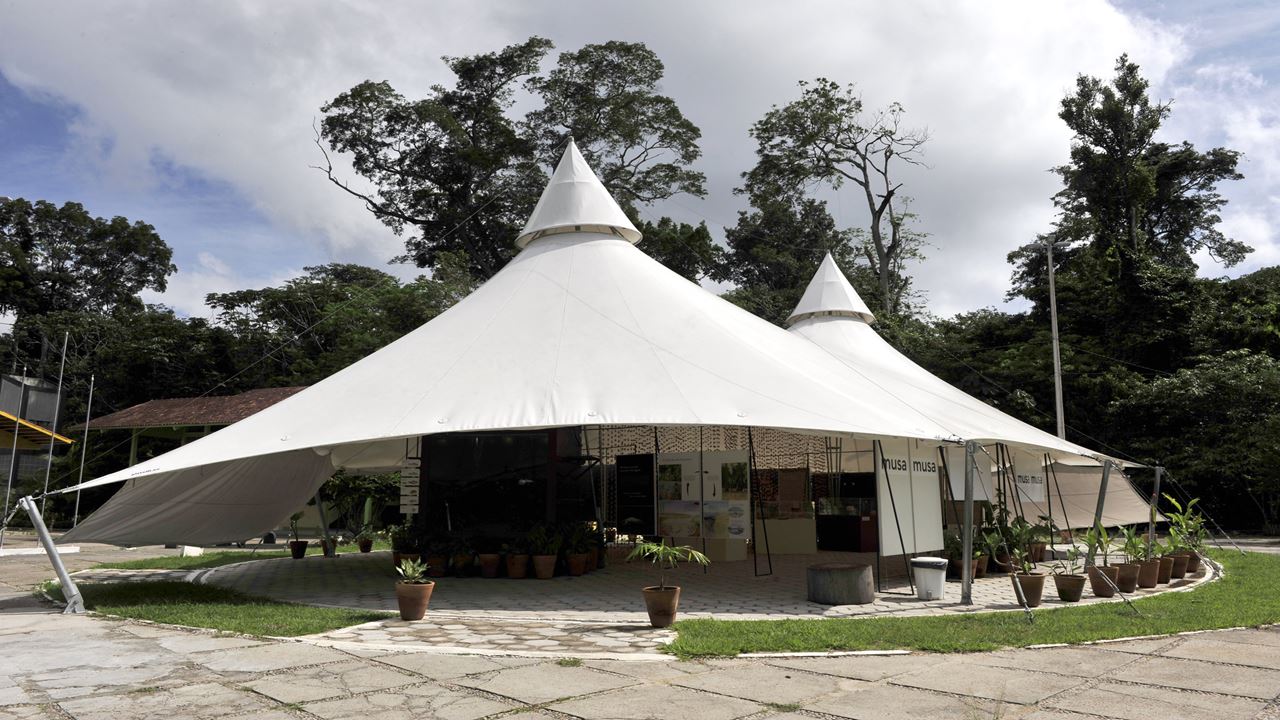 Combo Dos Museus Naturais Da Amazônia (Inpa E Musa)
 (8)