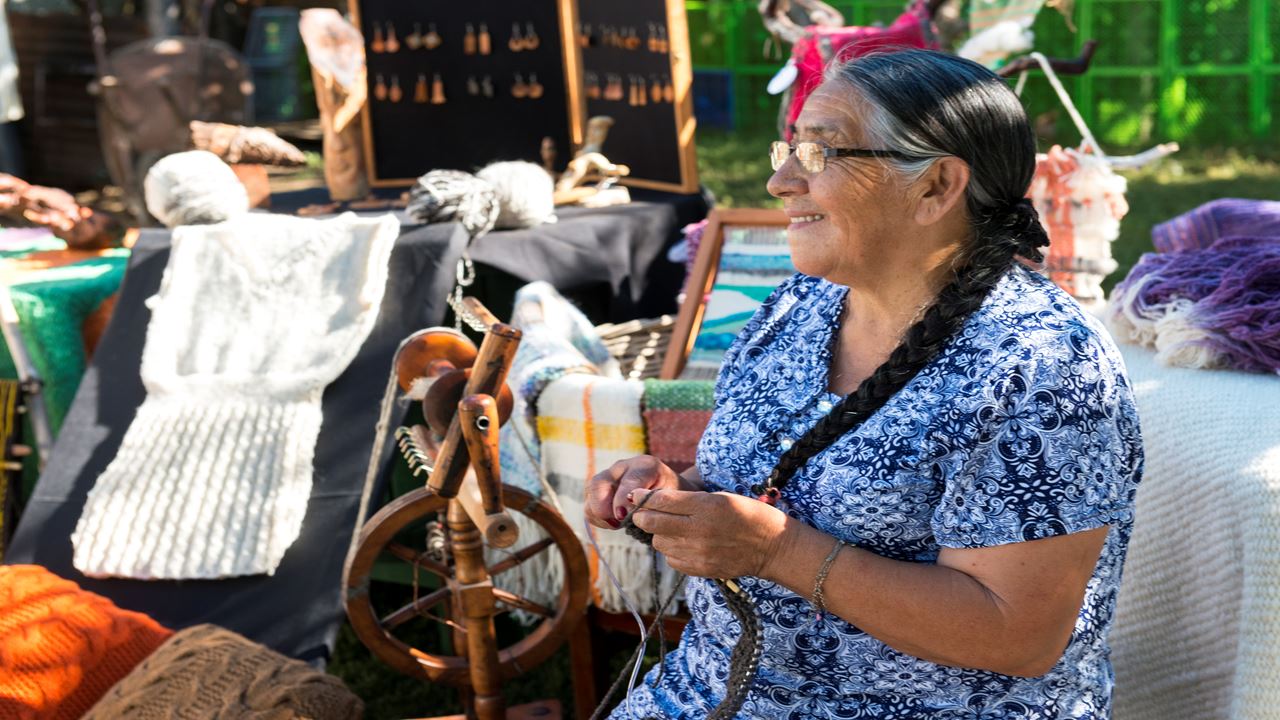 Comunidad Mapuche Lago Budi Desde Pucon foto 6
