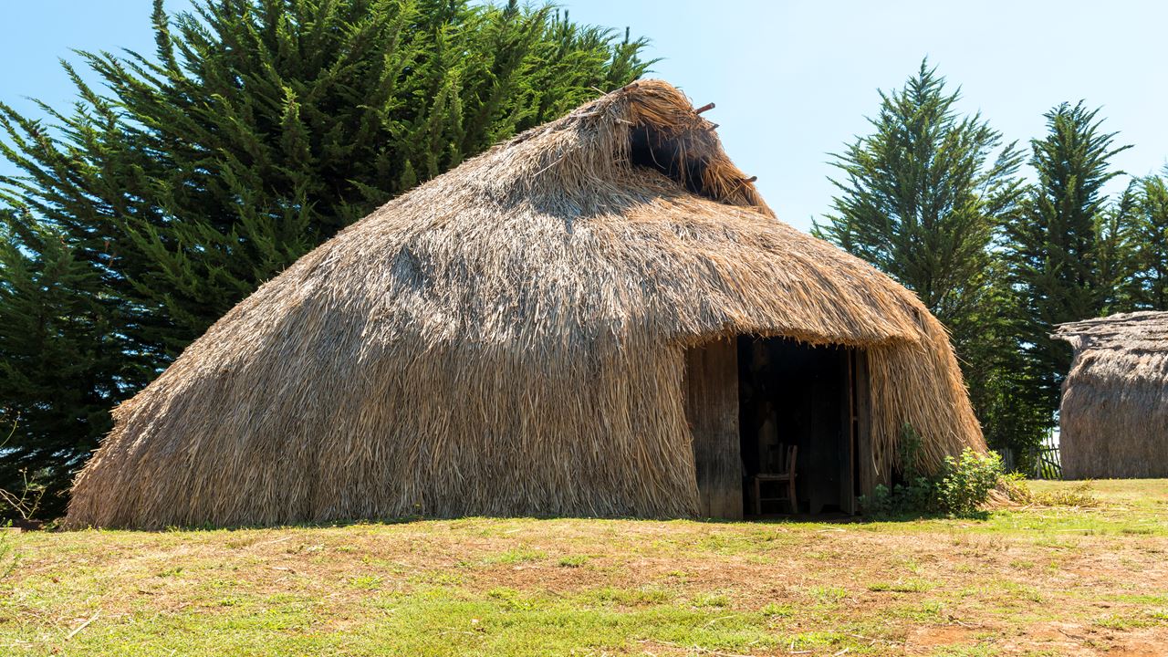 Comunidad Mapuche Lago Budi Desde Pucon foto 8