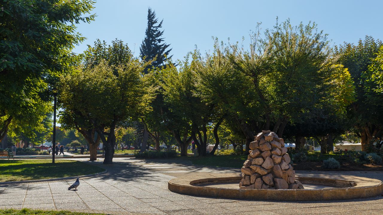 Coyhaique Esencial: Corazon De La Patagonia Aysen foto 6