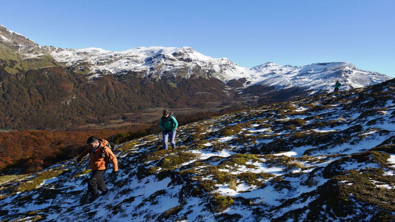Trekking Cruzando Os Andes Fueguinos (0)