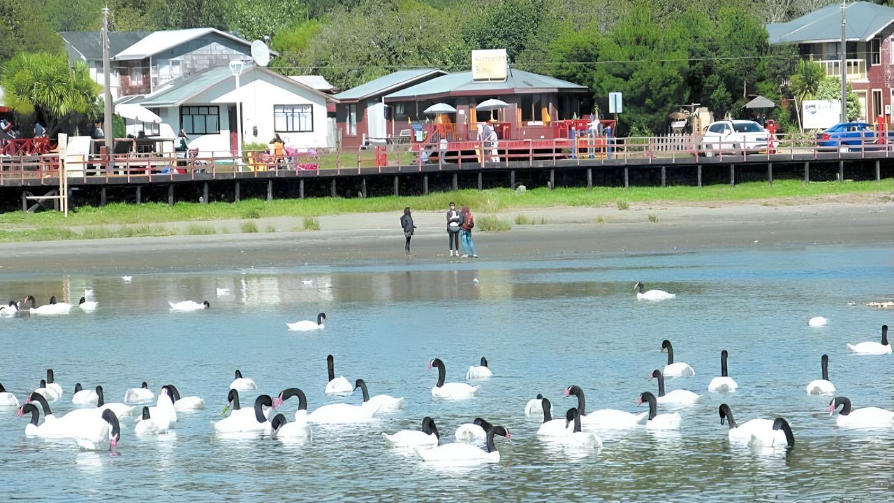 Tour De Dia Inteiro À Ilha Dalcahue E Quinchao foto 7